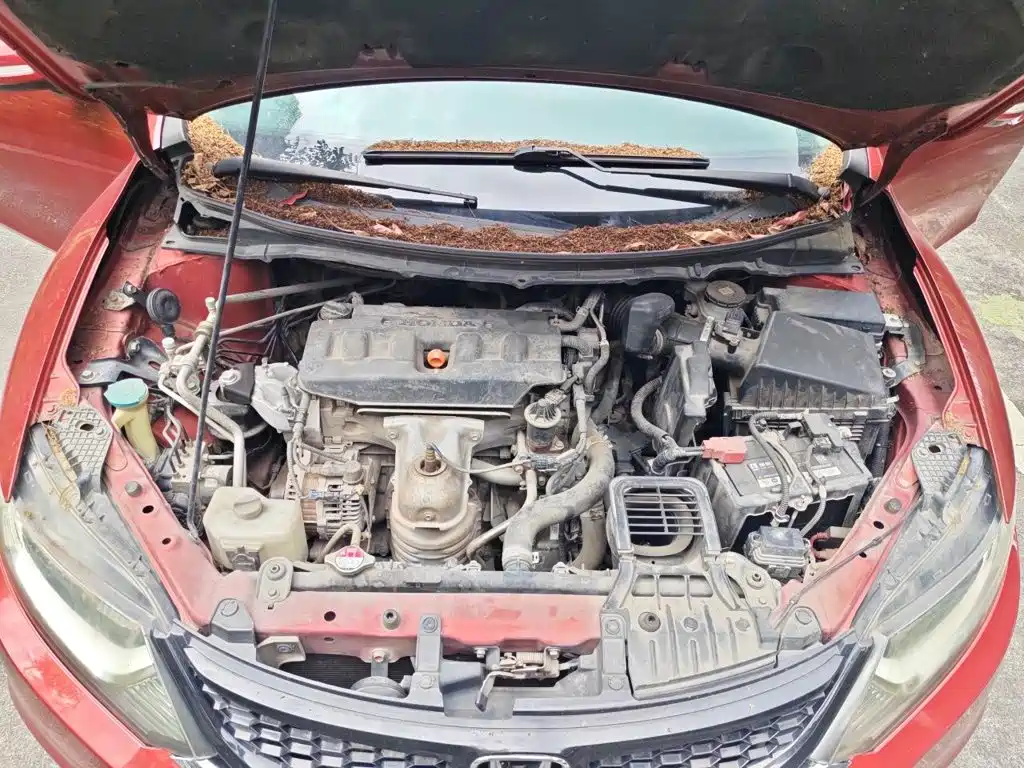 Honda Jade — миниатюра 11
