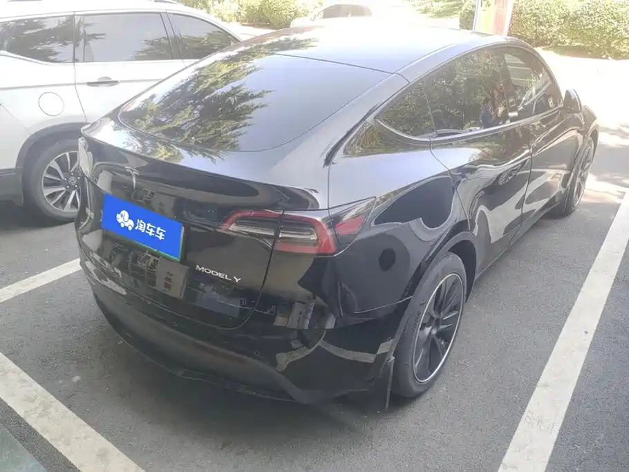 Tesla Model Y — миниатюра 3