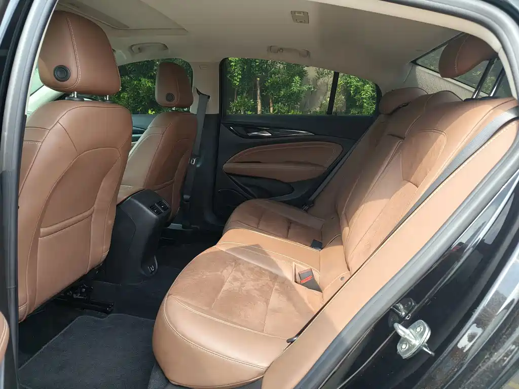 Buick Regal — миниатюра 10