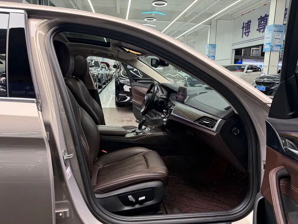 BMW 5 Series New Energy 530Le Luxury Package, фото 15