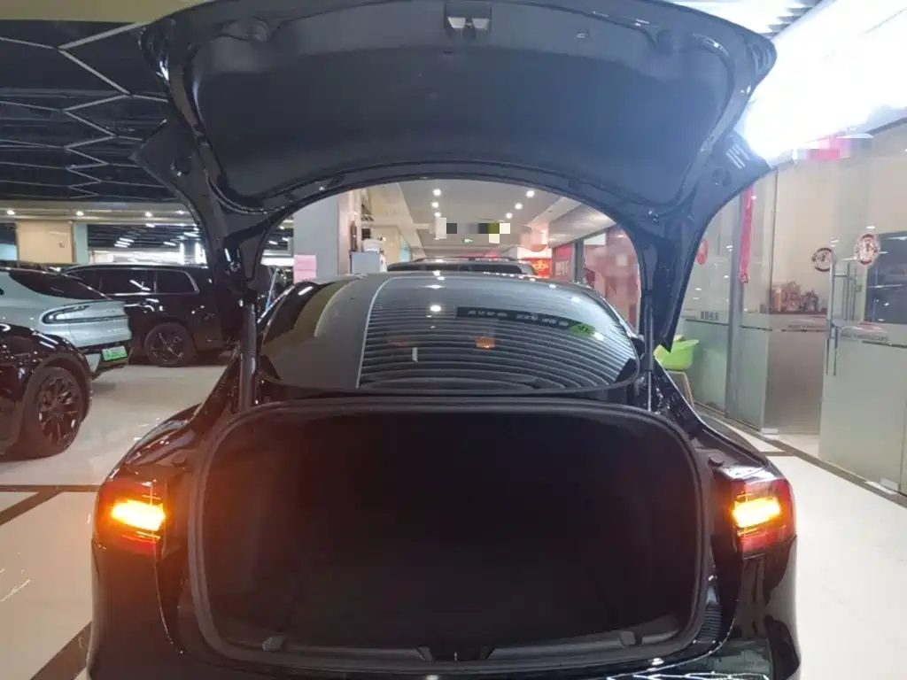 Tesla Model 3 — миниатюра 19
