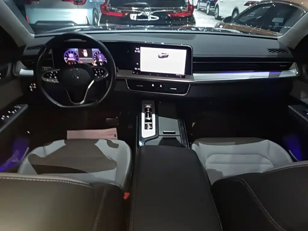 Volkswagen Tavendor — миниатюра 10