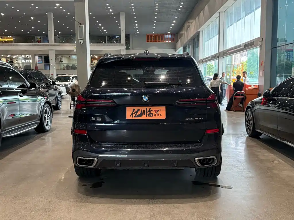 BMW X5 — миниатюра 10