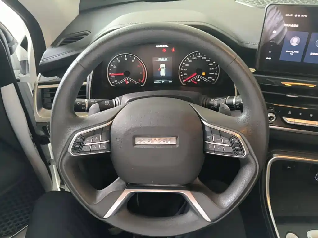 Haval H6 — миниатюра 11