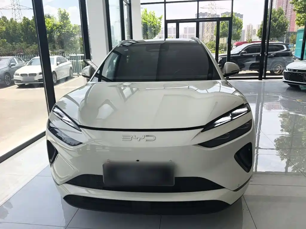 BYD Haisi 06 — миниатюра 3