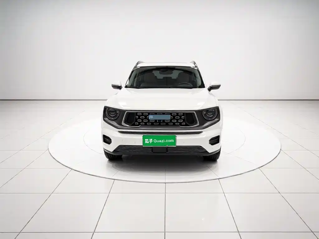 Haval Big Dog PLUS New Energy