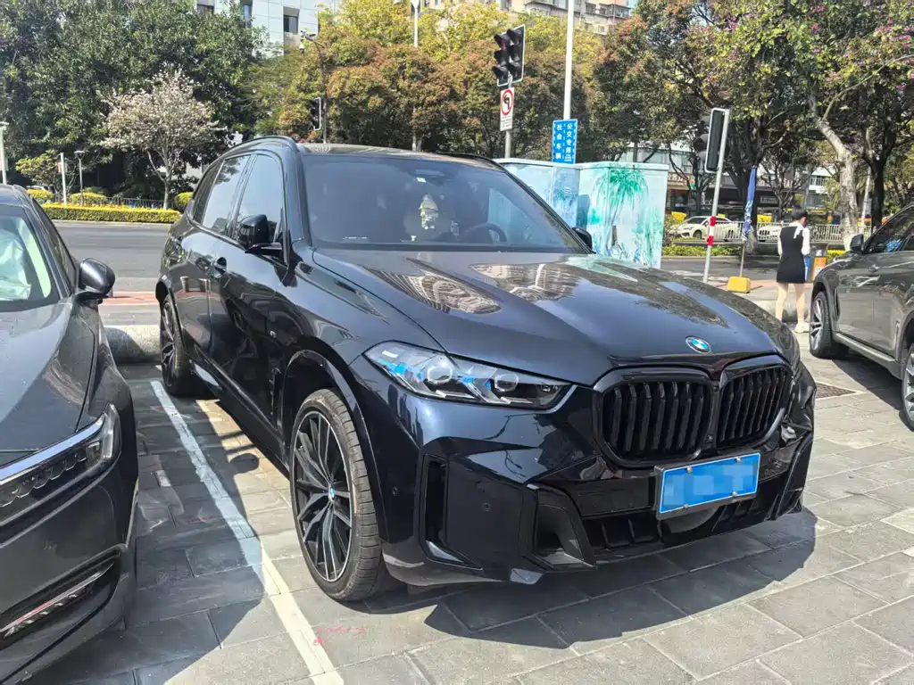 BMW X5 — миниатюра 2