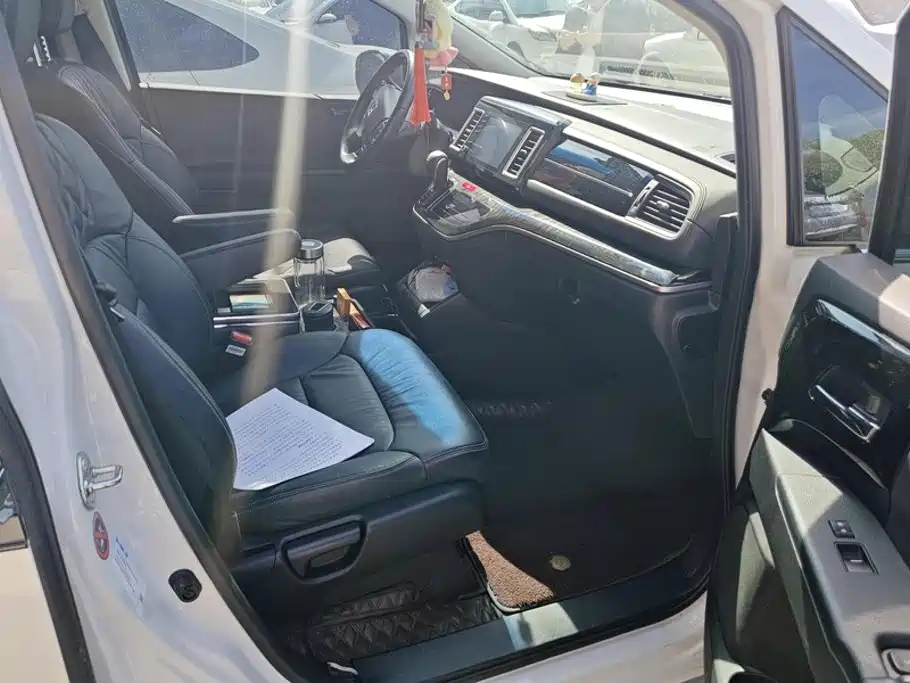 Honda Elysion — миниатюра 8