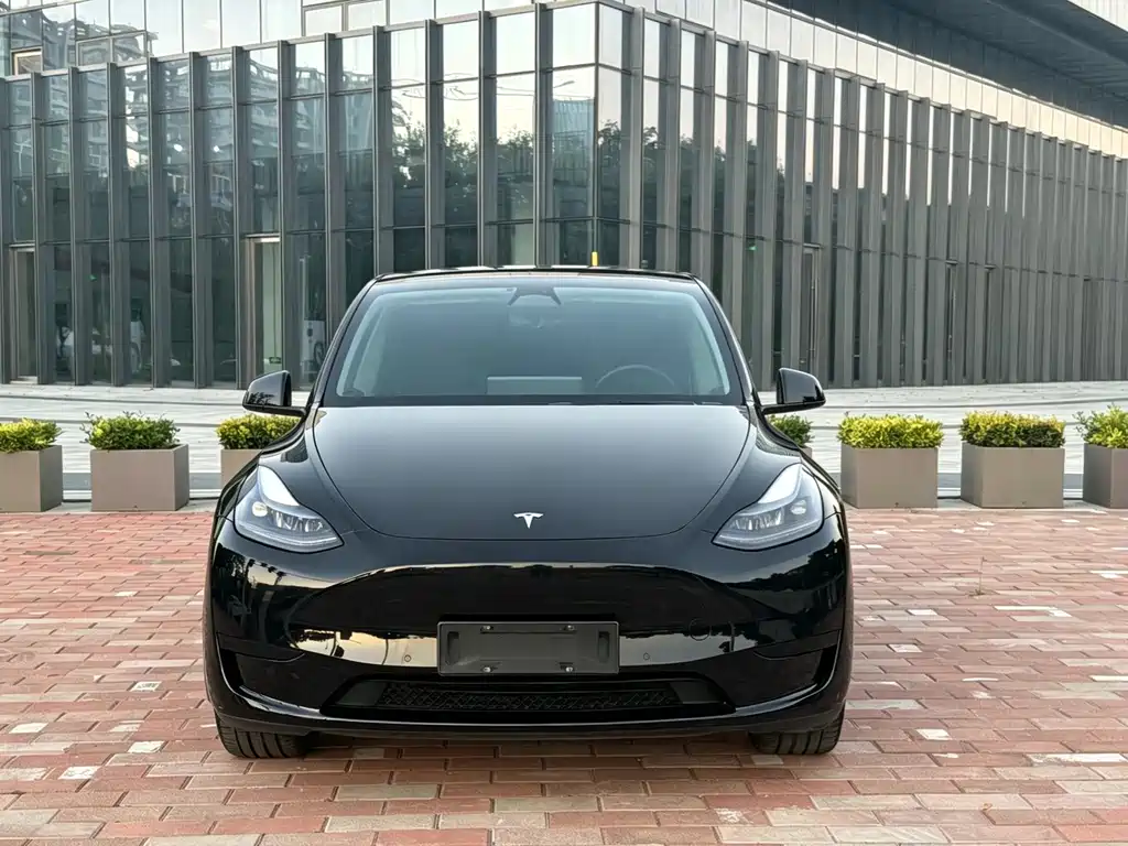 Tesla Model Y — миниатюра 2