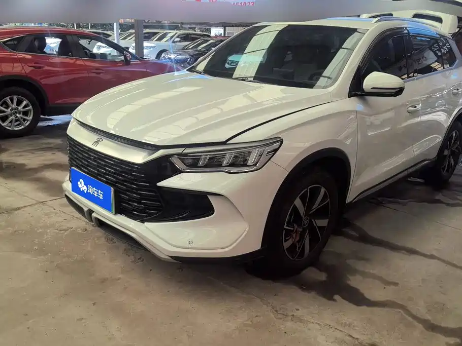 BYD Pro New Energy