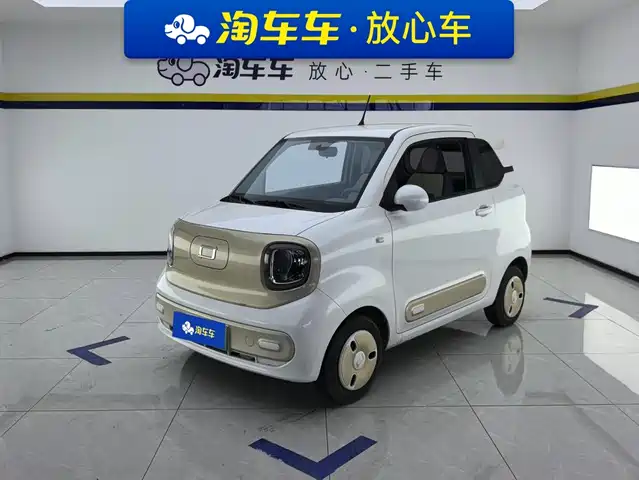 2024 Bestune Pony