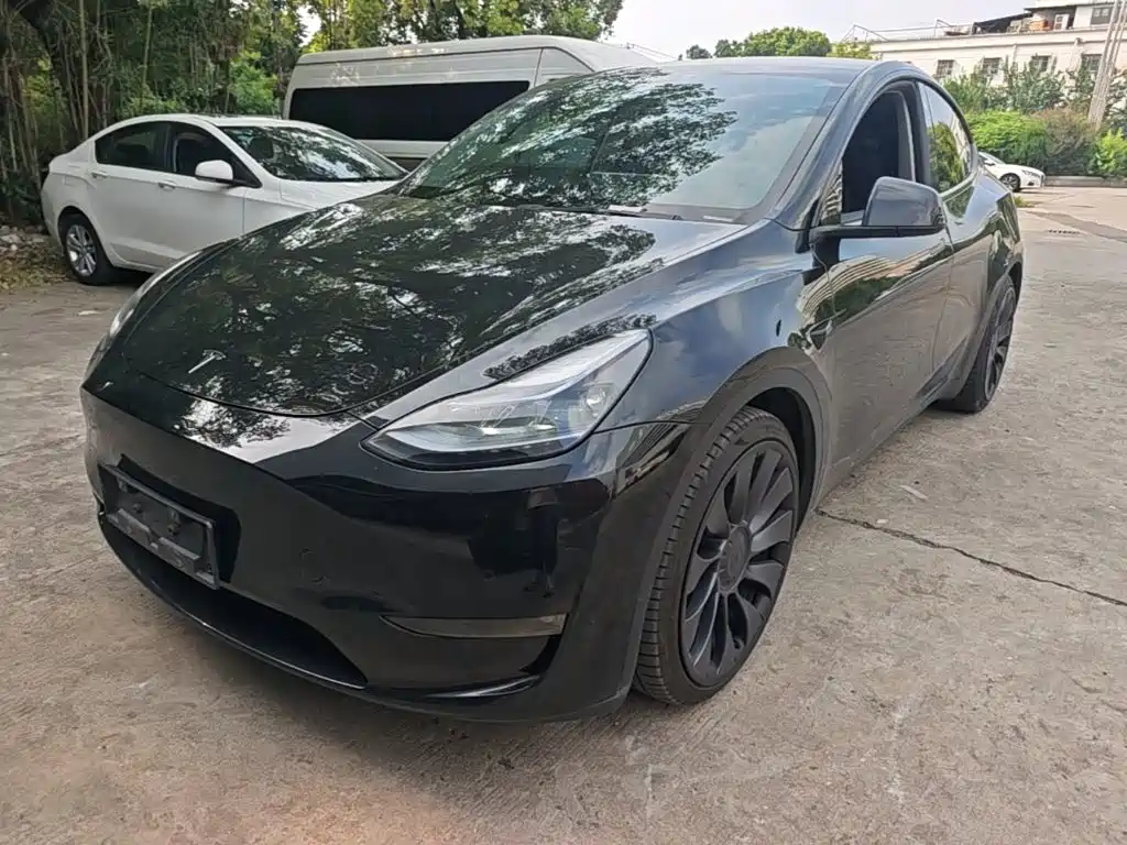 Tesla Model Y — миниатюра 2
