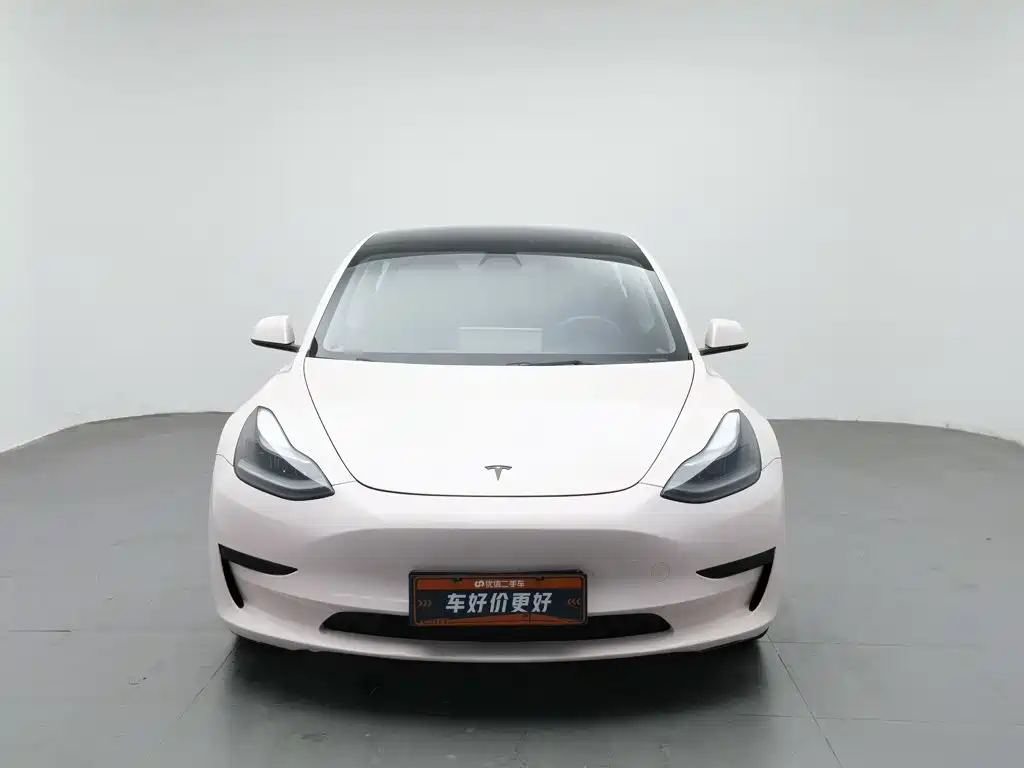 Tesla Model 3 — миниатюра 3