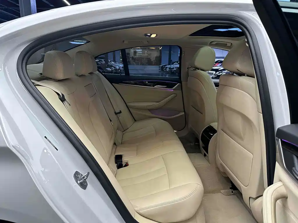 BMW 5 Series 5 2018 530i M Sport