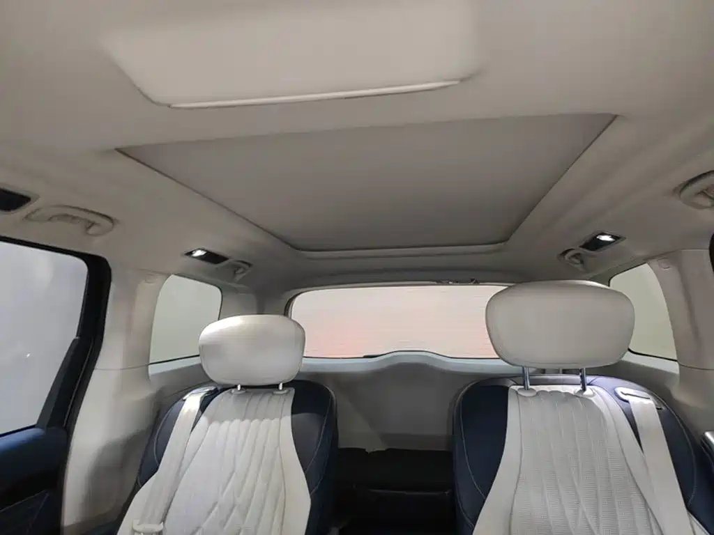 Maxus Dajia 9 — миниатюра 18