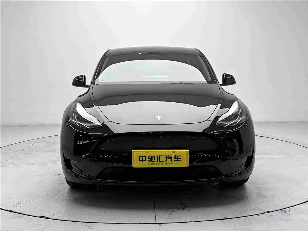 Tesla Model Y — миниатюра 2
