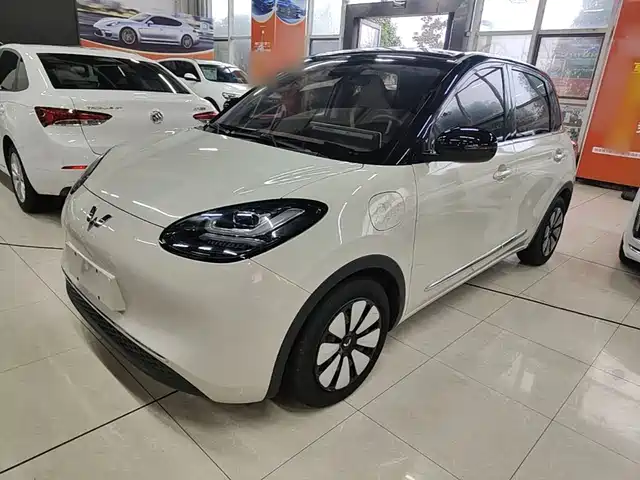 Wuling Bingo