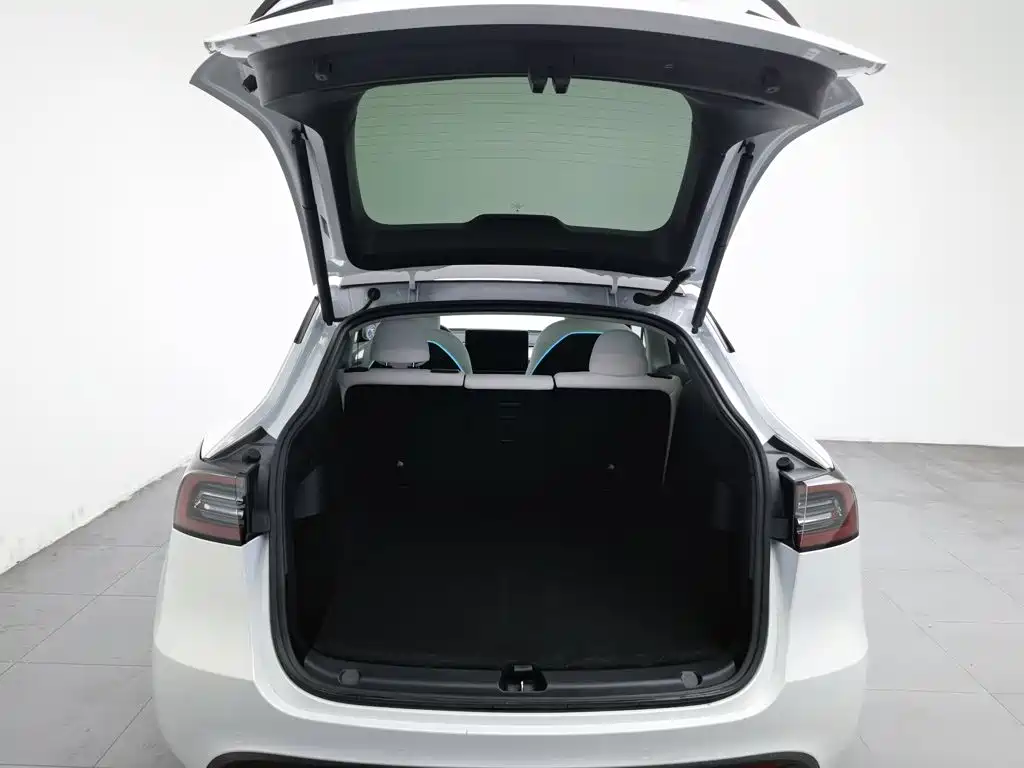 Tesla Model Y — миниатюра 16