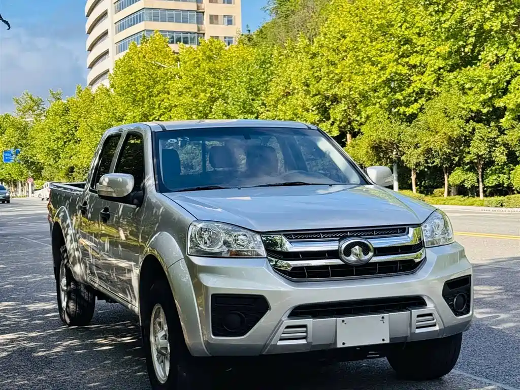 GREAT WALL FENGJUN 5