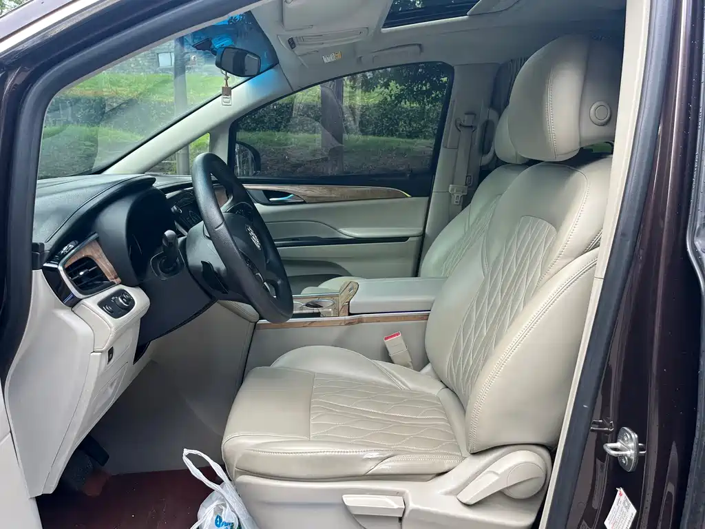 Buick GL8 — миниатюра 8