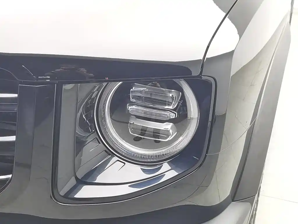 Haval Big Dog — миниатюра 7