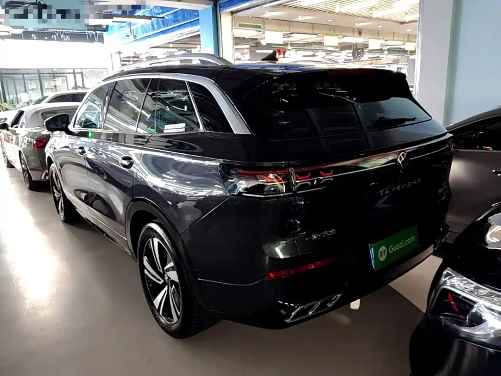 Volkswagen Tavendor — миниатюра 5