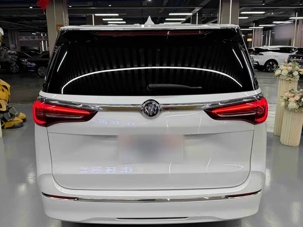 Buick GL8 — миниатюра 10