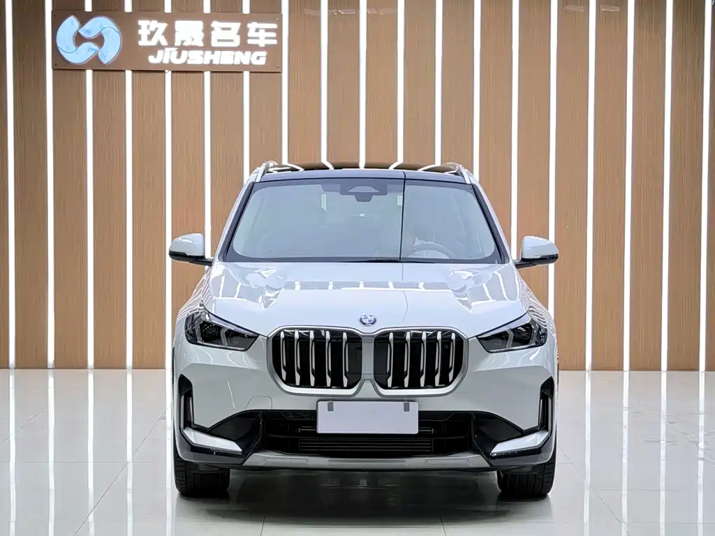 BMW X1 — миниатюра 2