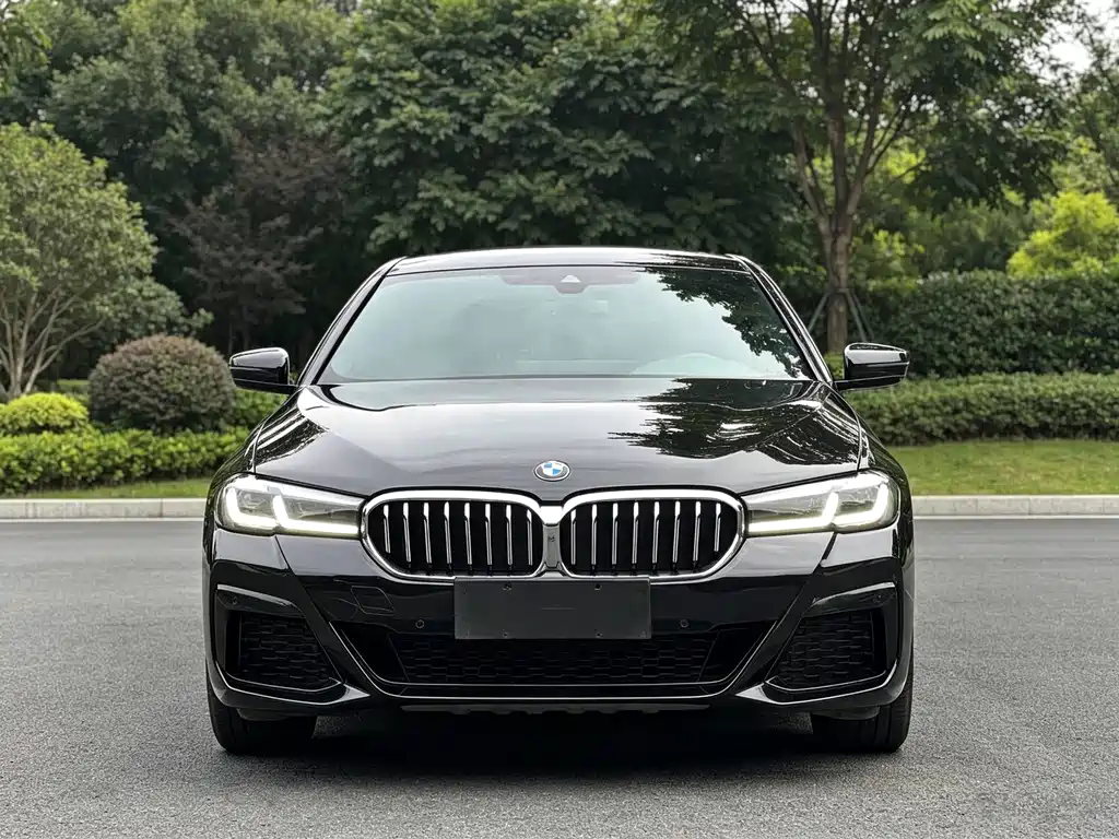 BMW 5 Series — миниатюра 10
