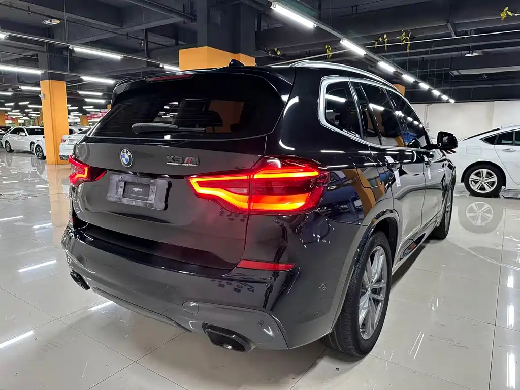 BMW X3 — миниатюра 7