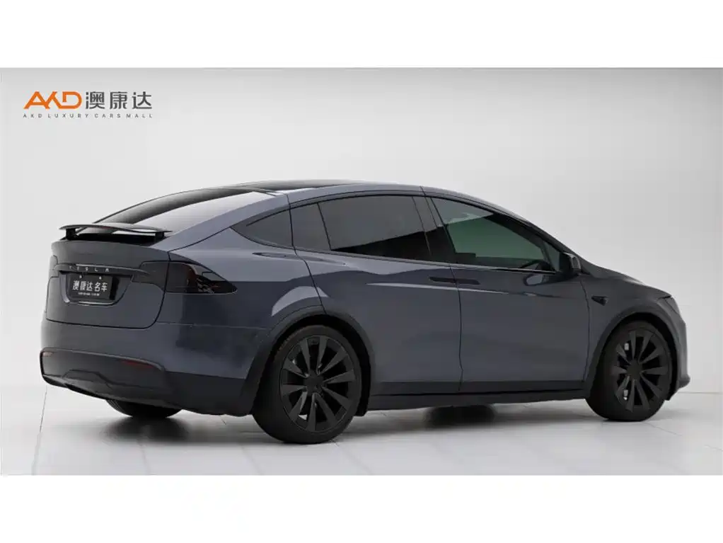 Tesla Model X — миниатюра 3