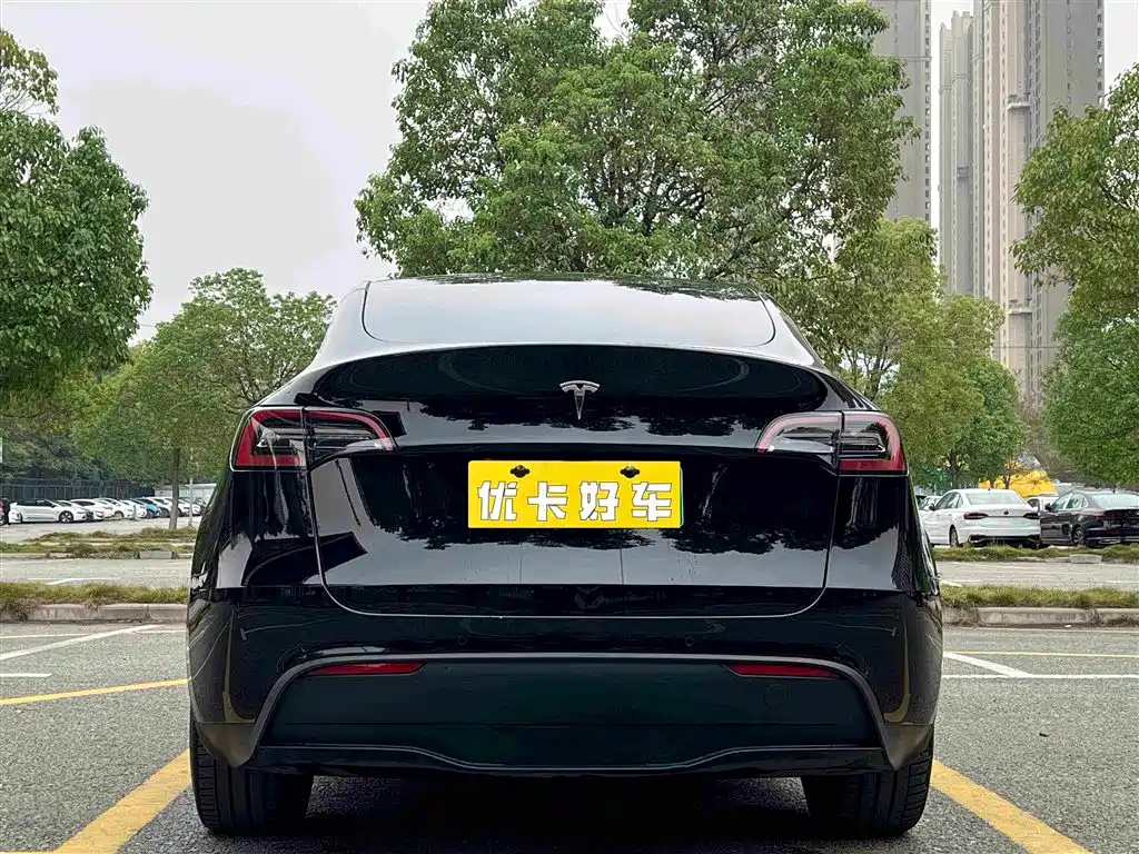 Tesla Model Y — миниатюра 5