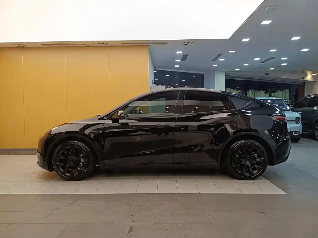 Tesla Model Y — миниатюра 3