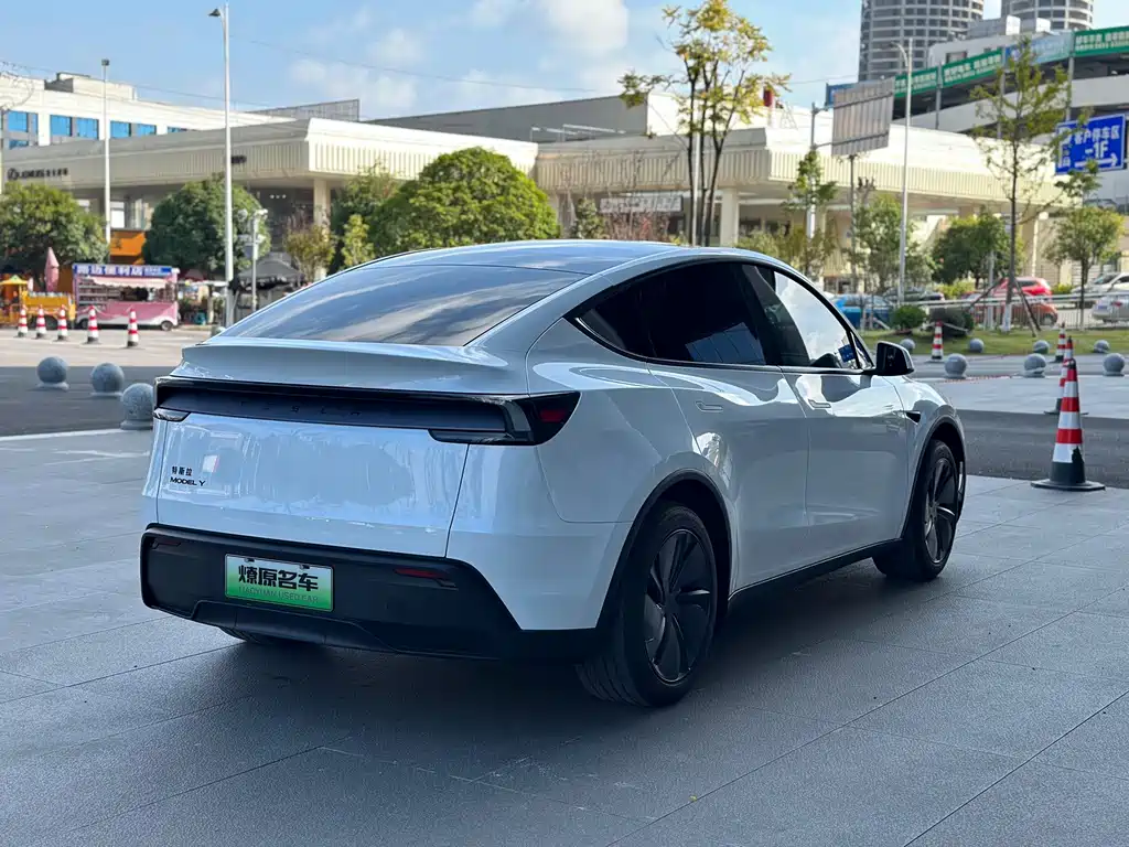 Tesla Model Y — миниатюра 7