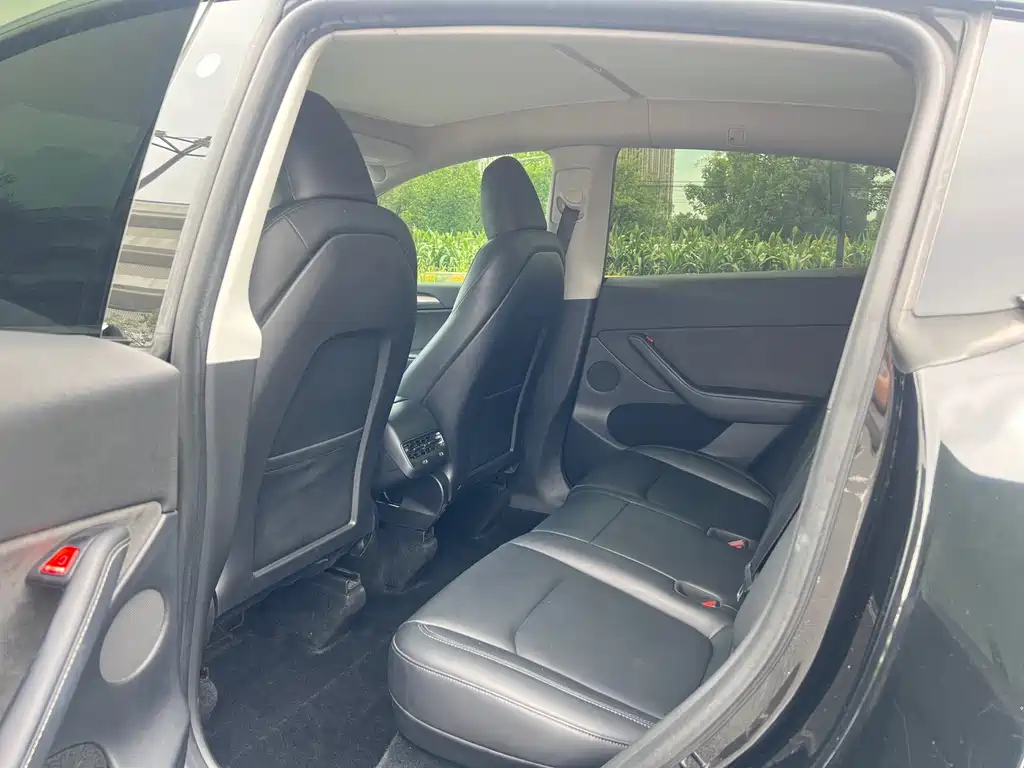 Tesla Model Y — миниатюра 13