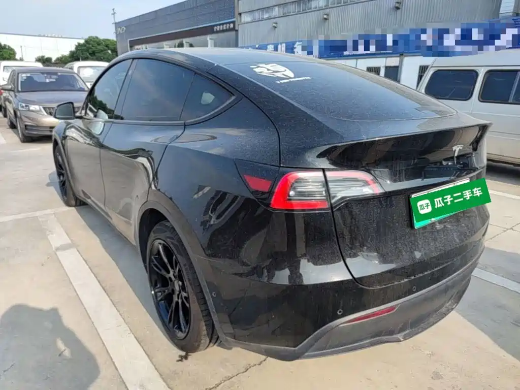 Tesla Model Y — миниатюра 5