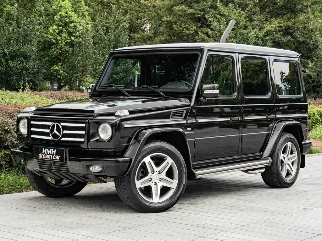 Mercedes-Benz G-Class A MG G AMG 2009 AMG G 55