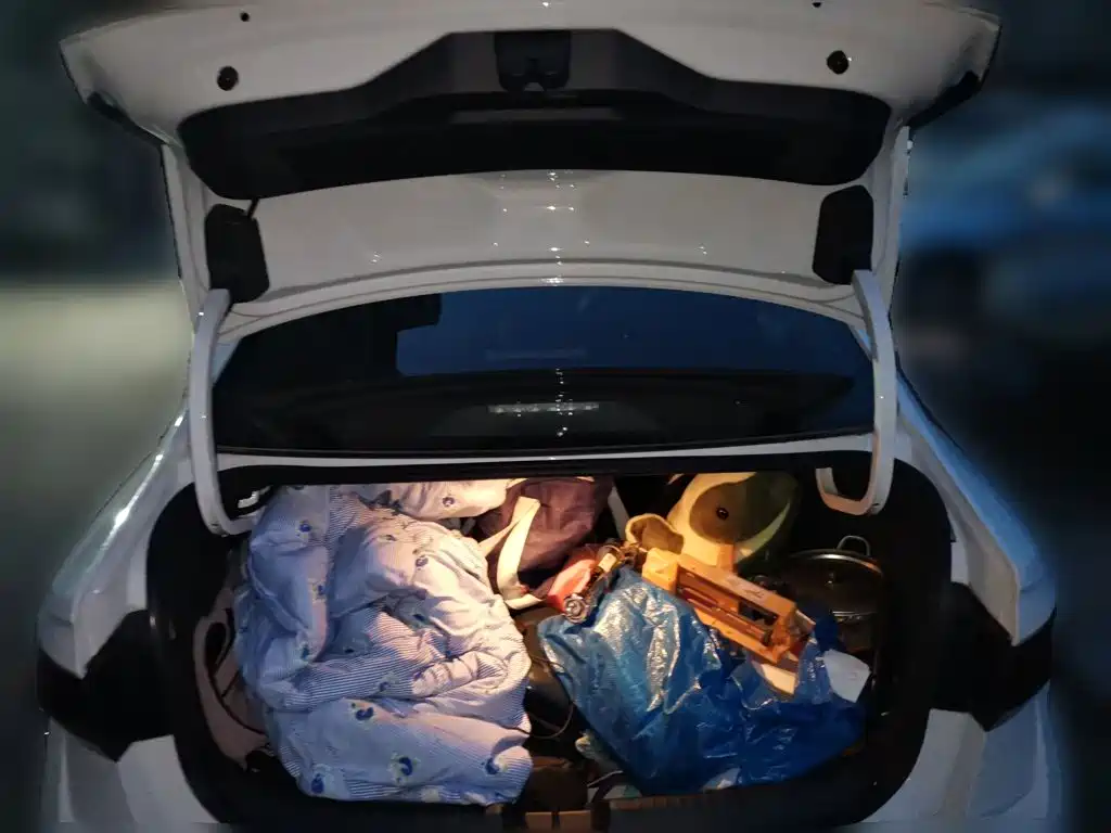 Volkswagen Sagitar — миниатюра 10