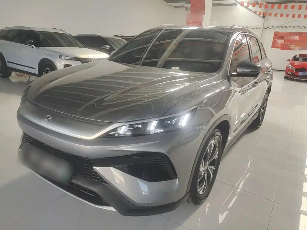 BYD Pro New Energy 2024
