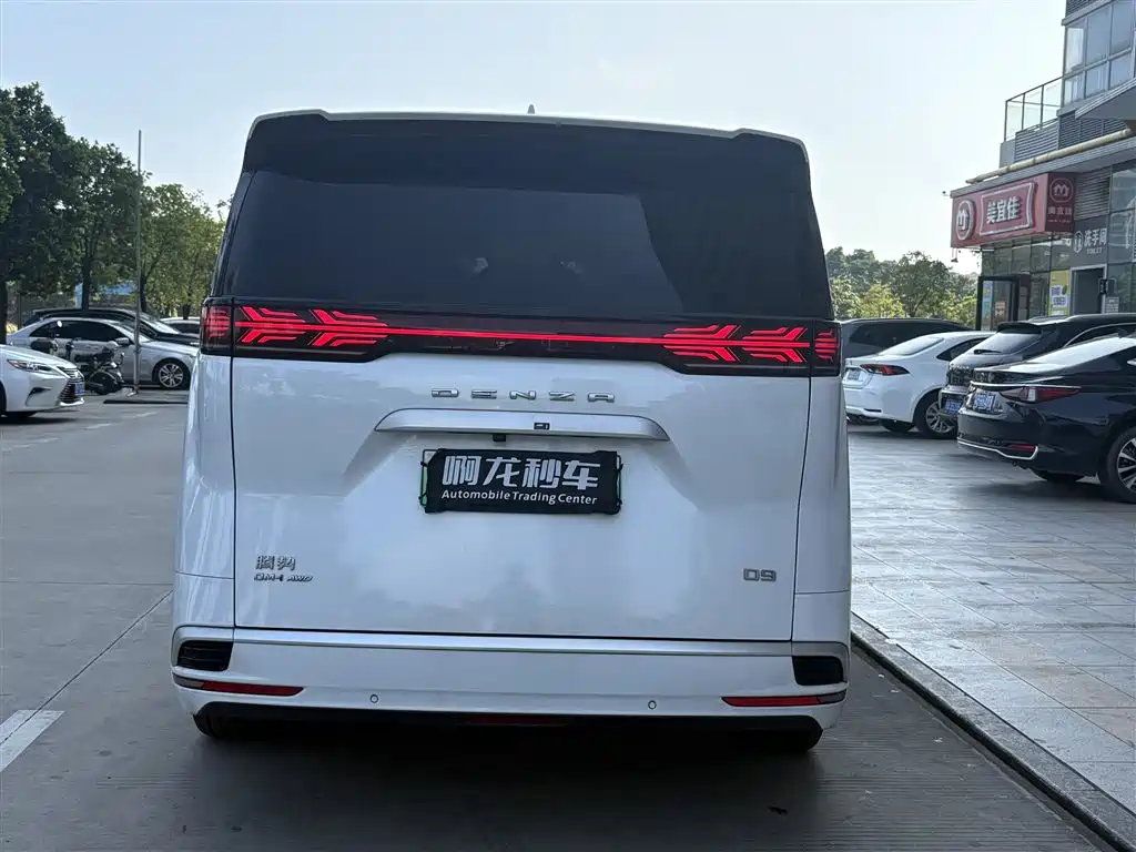 Denza Denza D9 — миниатюра 8