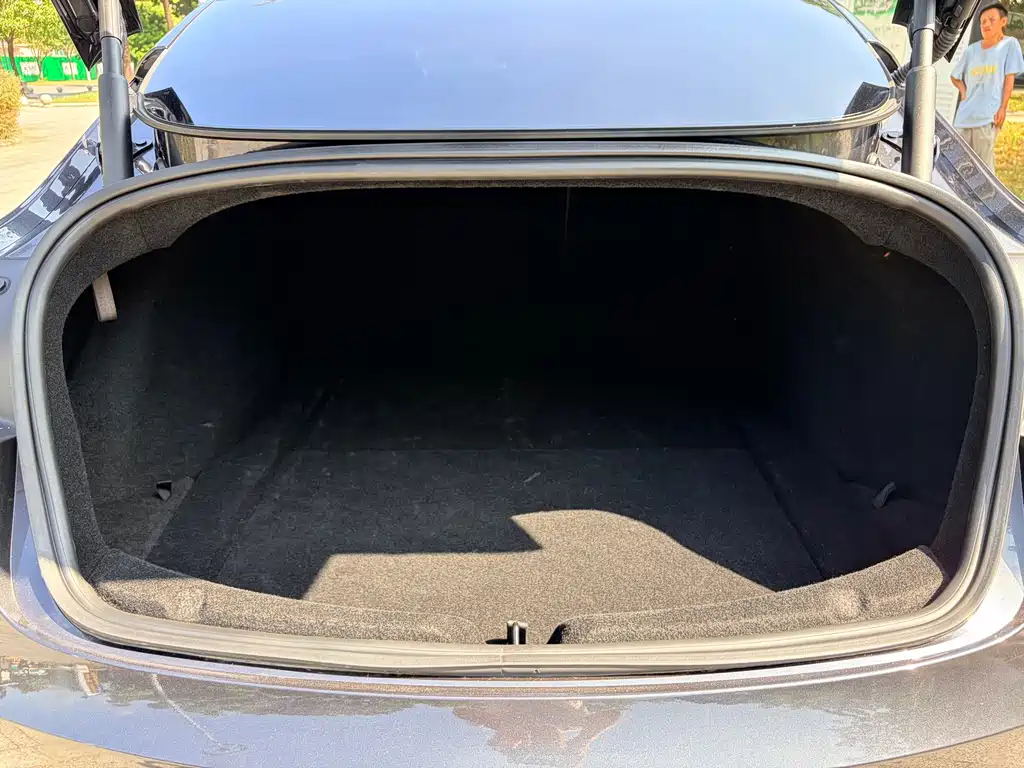 Tesla Model 3 — миниатюра 18