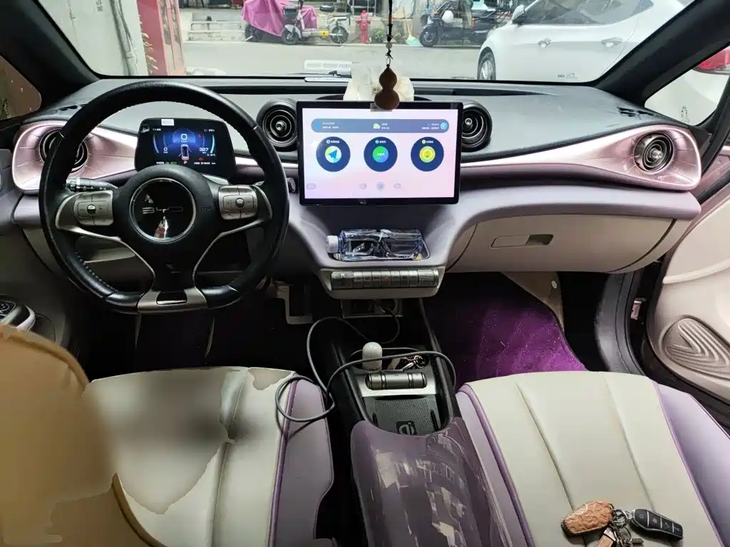 BYD Dolphin — миниатюра 5