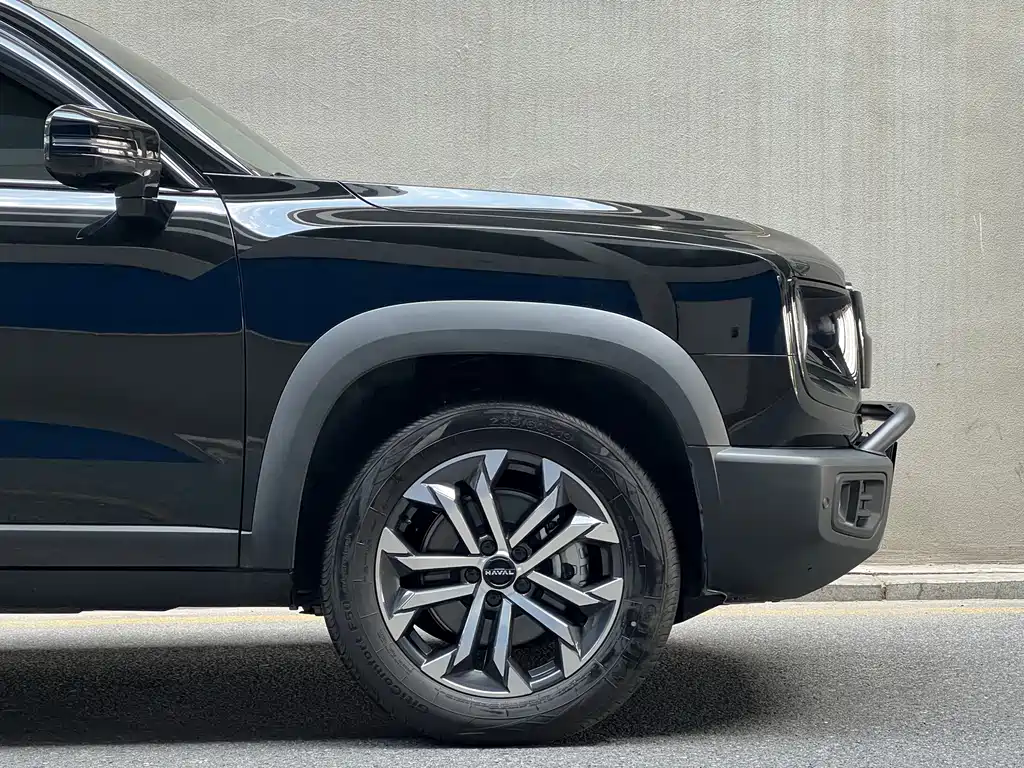 Haval Big Dog — миниатюра 16