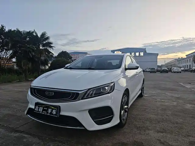 2019 Geely Binrui