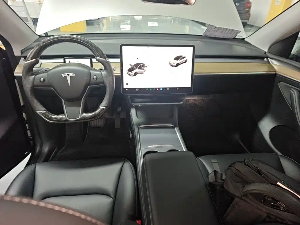 Tesla Model Y — миниатюра 10