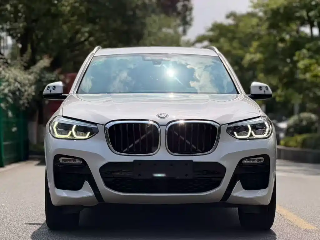 BMW X3 — миниатюра 2