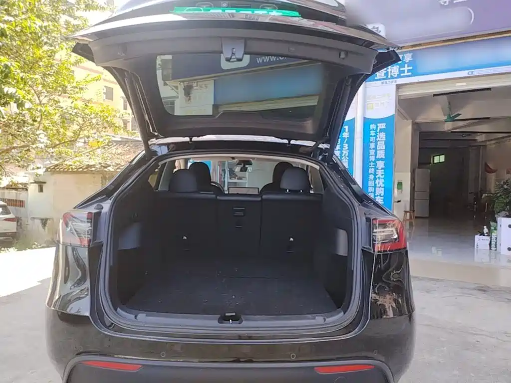 Tesla Model Y — миниатюра 19
