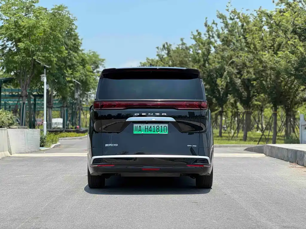Denza Denza D9 — миниатюра 7