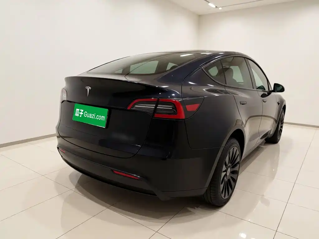 Tesla Model Y — миниатюра 5