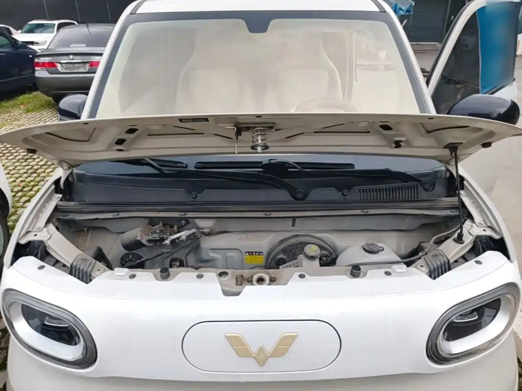 Wuling MINIEV — миниатюра 20